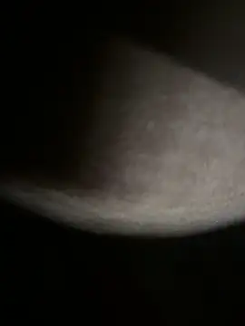 Snapshot of Bongcrush_3 chatting on 03.08.25 Bongcrush 3 online show from 03.08.25