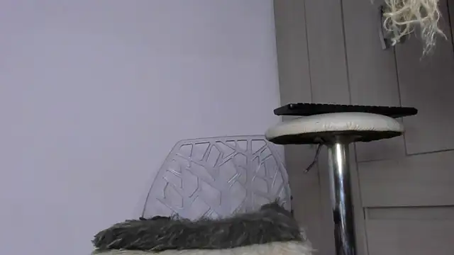 Kendall Hotsexy x online show from 05.20.26