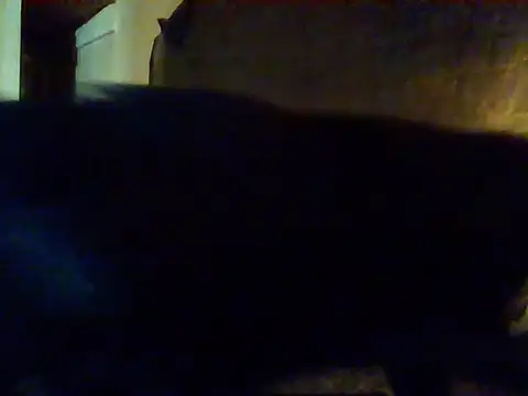 Nightshade7712 online show from 09.16.25