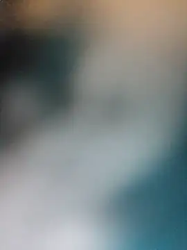 Armyexhibitionistvet online show from 04.13.26