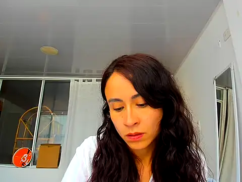 Snapshot of reme_ark23 chatting on 11.04.25 reme ark23 online show from 11.04.25