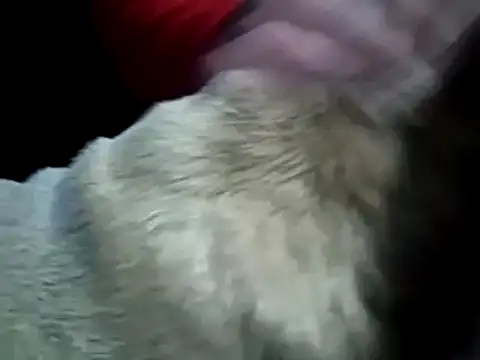 Snapshot of missthickness35_Pika chatting on 01.13.25 missthickness35 Pika online show from 01.13.25