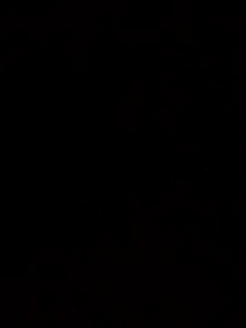 Snapshot of Flaquito_pitudo chatting on 03.18.25 Flaquito pitudo online show from 03.18.25