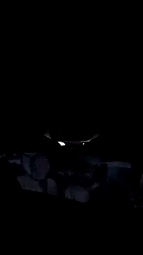 Snapshot of AriellaTaylor chatting on 12.14.25 AriellaTaylor online show from 12.14.25