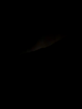 meuall3 online show from 10.14.25