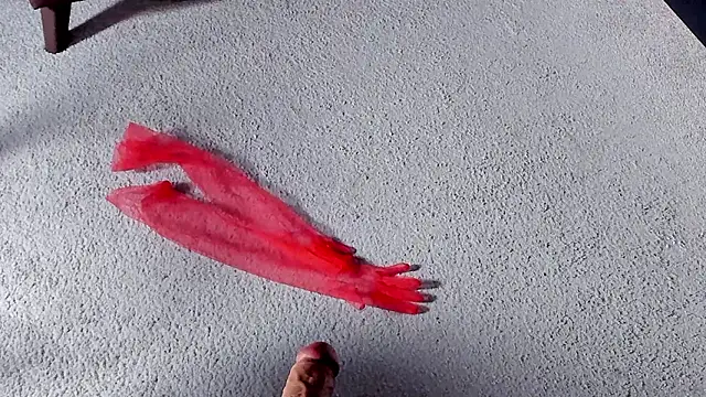 Dorothy Meyer online show from 03.27.26