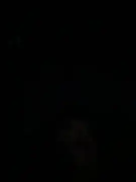 jackelinuh online show from 02.22.26