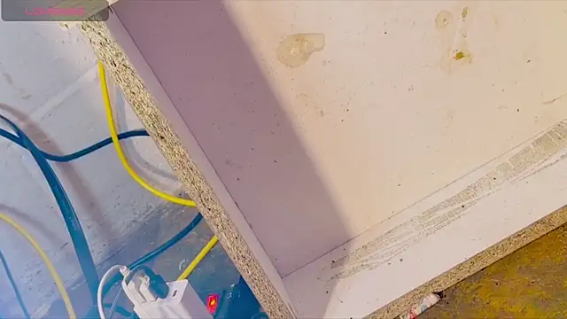 anotherbigboy  online show from 04.28.26