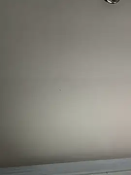 El Gizmo online show from 01.08.25