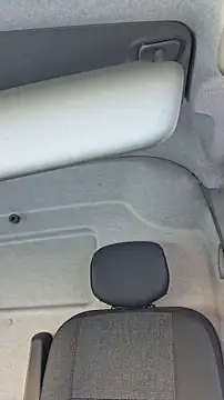 pachapeter online show from 10.17.25