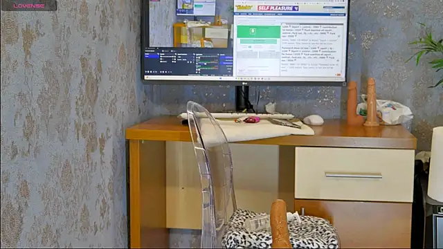 Snapshot of YourBurnWish chatting on 03.20.25 YourBurnWish online show from 03.20.25