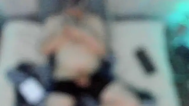 stillwild online show from 12.17.24