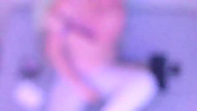 stillwild online show from 03.02.26