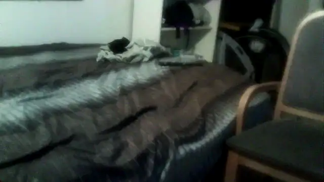 bigdickmtlqc online show from 12.30.24