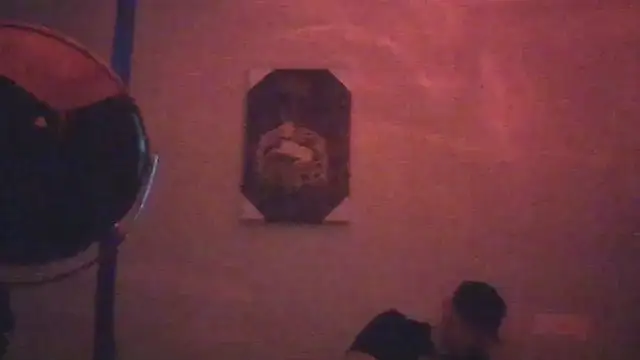 hailzeffn online show from 05.26.26