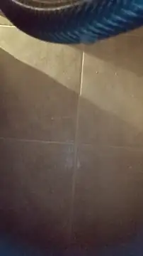 whitetrashdirtyslut online show from 12.04.25