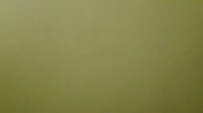 Snapshot of _Blue_Ruubyy_ chatting on 02.01.25  Blue Ruubyy  online show from 02.01.25