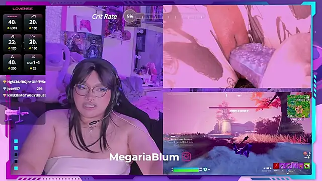 Snapshot of MegariaB chatting on 02.01.25 MegariaB online show from 02.01.25