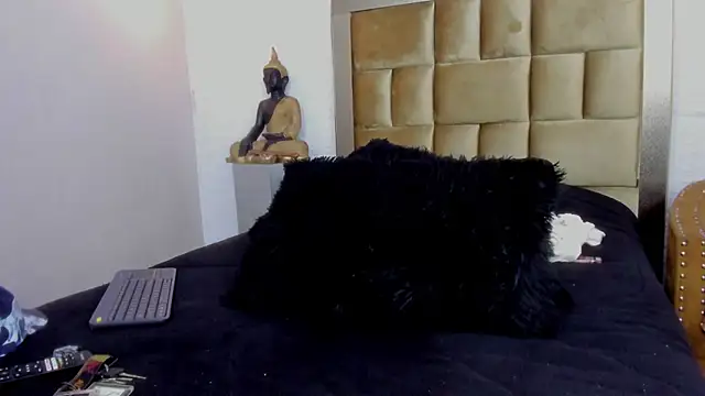 Levy Steve online show from 03.11.25