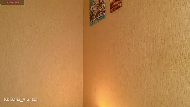 Snapshot of DanArant chatting on 10.11.25 DanArant online show from 10.11.25