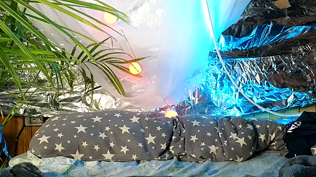 Jony Marta online show from 10.09.25