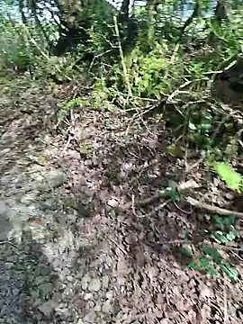 FreezingTie850 online show from 04.26.26