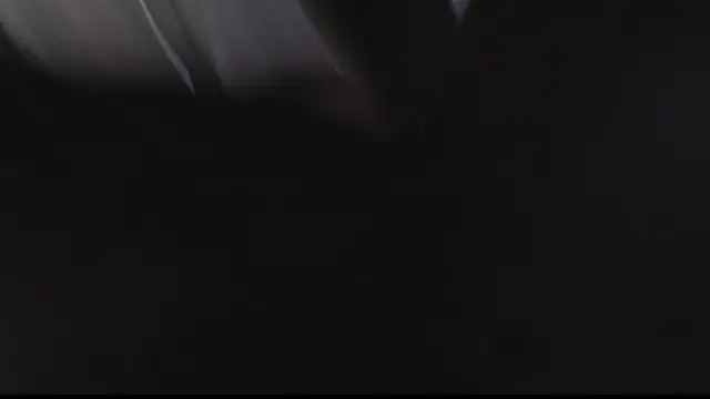 missbella1 online show from 02.11.26