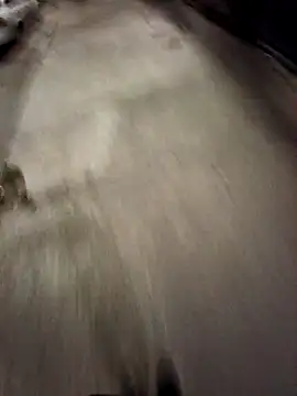 Snapshot of BandidodeAmores_84 chatting on 10.19.25 BandidodeAmores 84 online show from 10.19.25