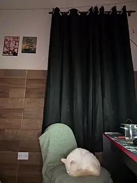 izumikarol online show from 03.11.26