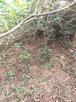 HathodaTyagi123 online show from 12.08.24