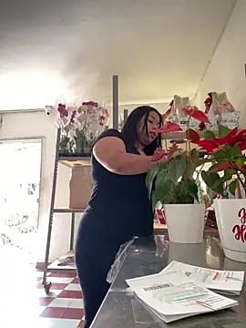 PUSHYLATE online show from 12.19.25