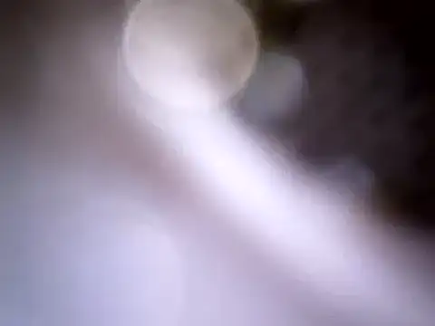 Snapshot of Beijing2000 chatting on 01.14.25 Beijing2000 online show from 01.14.25