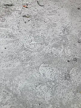 Snapshot of Beijing2000 chatting on 10.11.25 Beijing2000 online show from 10.11.25