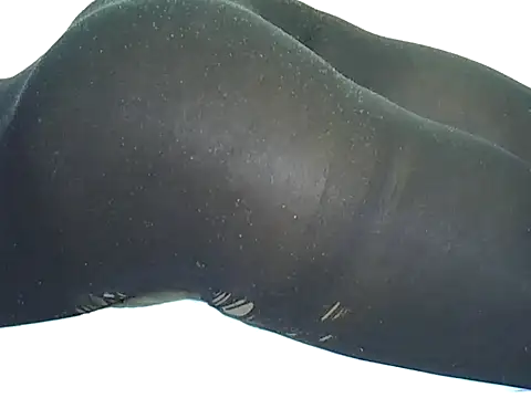 candililie online show from 09.12.25