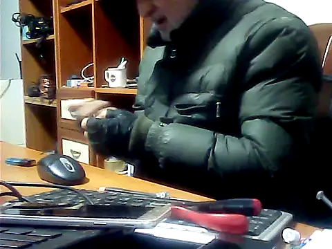 zormen355 online show from 01.29.25