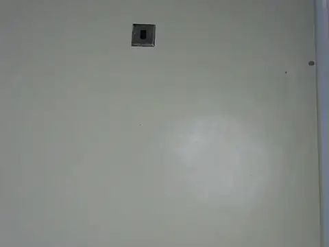 Rasta tattooed online show from 11.13.25