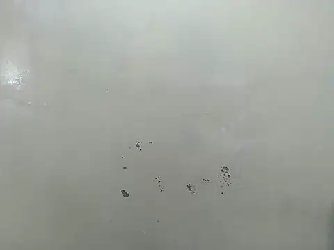 Rasta tattooed online show from 03.19.26