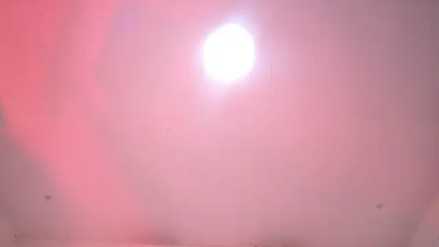 amber demons2021 online show from 11.27.25