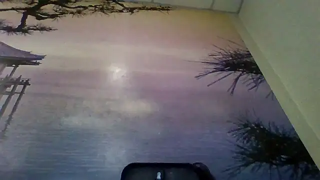 Snapshot of AliceTailor chatting on 02.02.26 AliceTailor online show from 02.02.26