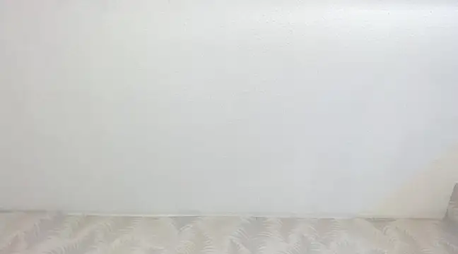 Snapshot of KasandraPhillips chatting on 02.13.25 KasandraPhillips online show from 02.13.25