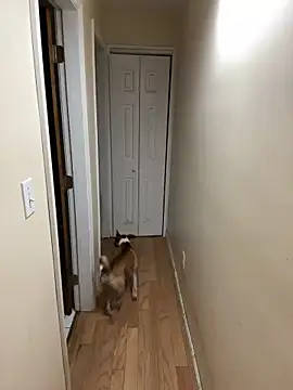 Snapshot of DaddySnowXX chatting on 12.16.24 DaddySnowXX online show from 12.16.24