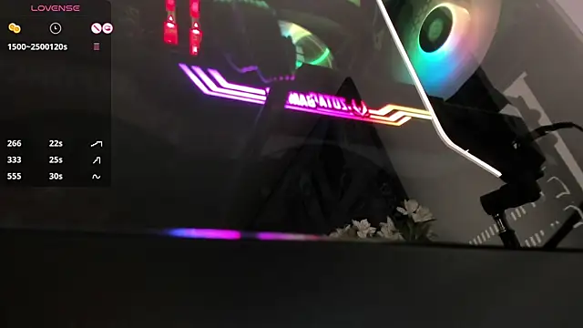 Snapshot of ariana_fitl_ chatting on 12.29.24 ariana fitl online show from 12.29.24