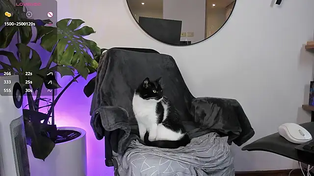 Snapshot of ariana_fitl_ chatting on 01.28.25 ariana fitl online show from 01.28.25