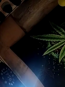 Snapshot of ySqmbVanbe chatting on 10.17.25 ySqmbVanbe online show from 10.17.25