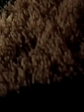 ySqmbVanbe online show from 03.07.26