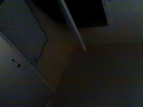 Snapshot of oopsxx chatting on 02.17.25 oopsxx online show from 02.17.25