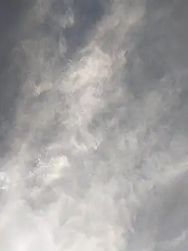 FloppyPickle4u online show from 02.17.25