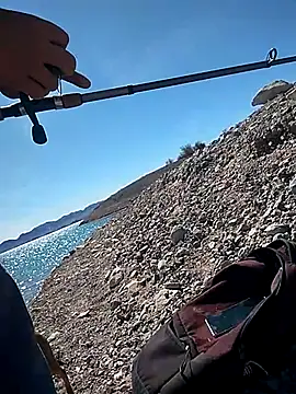 FloppyPickle4u online show from 03.04.25