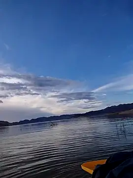 Snapshot of FloppyPickle4u chatting on 02.13.26 FloppyPickle4u online show from 02.13.26