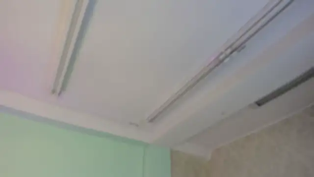 EvaaStevens online show from 11.05.25